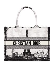 Christian Dior Medium Dior Book Tote 