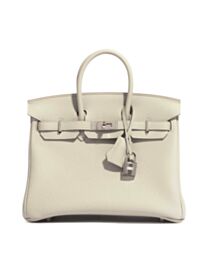 Hermes Birkin 25 Togo Leather Bag