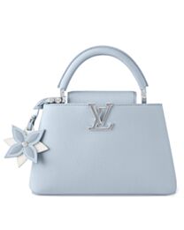 Louis Vuitton Capucines BB M21303 Blue