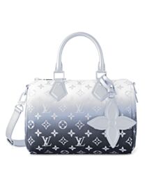 Louis Vuitton Speedy Bandouliere 25 M11848 Silver