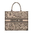 Christian Dior Large Dior Book Tote Apricot