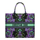 Christian Dior Large Dior Book Tote Green