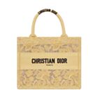 Christian Dior Small Dior Book Tote Apricot