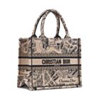 Christian Dior Small Dior Book Tote Apricot