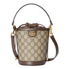 Gucci Ophidia Mini Bucket Bag 760199 Dark Coffee