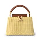 Louis Vuitton Capucines BB M22173 Apricot