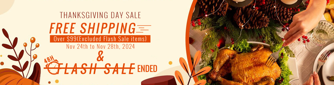 2024 Thanksgiving day sale