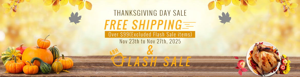 2025 Thanksgiving day sale